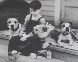 Not only he was an actor but was a dog breeder and a hunting guide Not only he was an actor but was a dog breeder and a hunting guide.